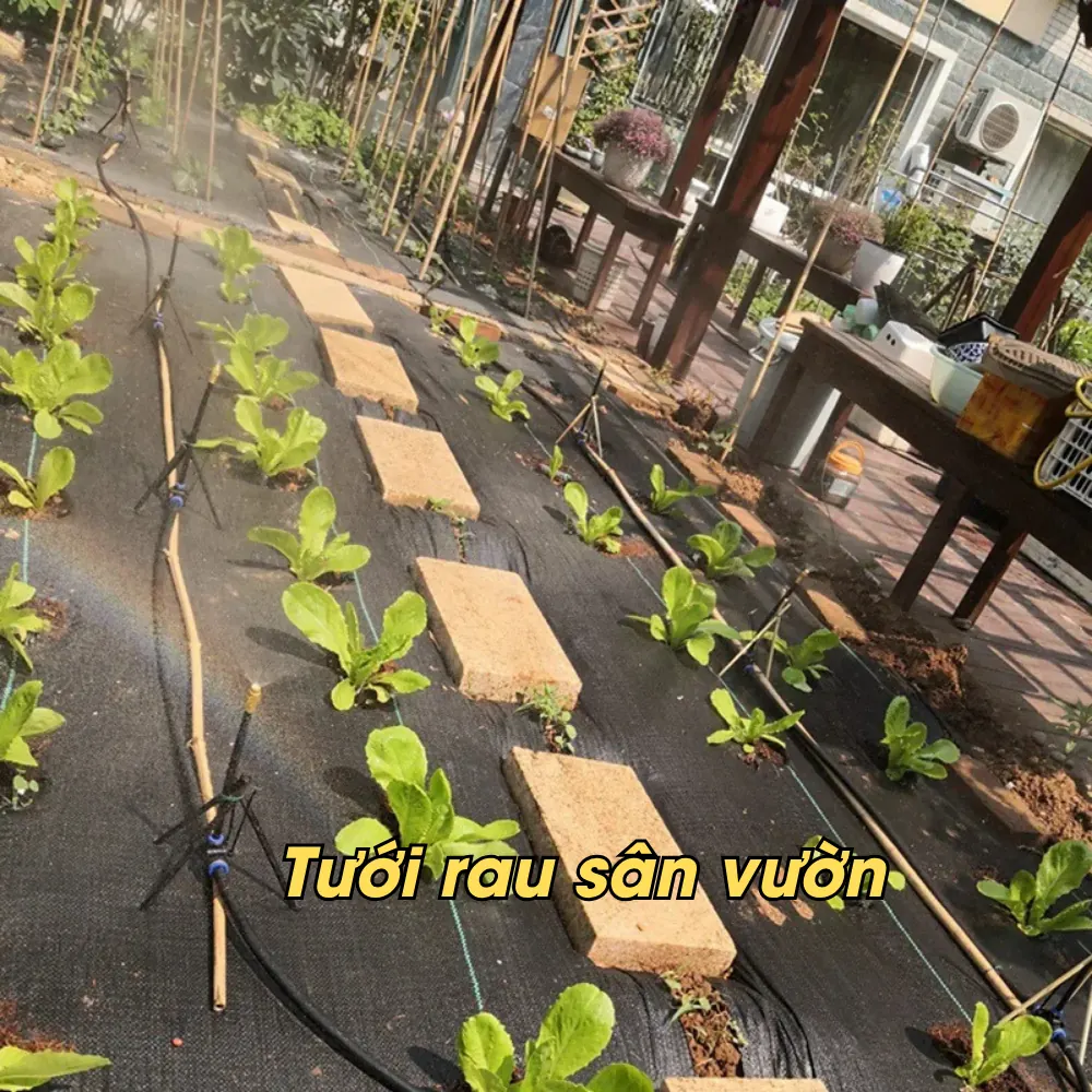 Sơ đồ lắp đặt bộ phun sương tưới cây