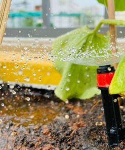 Cây cắm xòe điều chỉnh lưu lượng