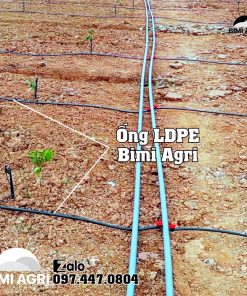Ứng dụng ống LDPE