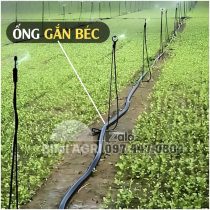 Ống xẹp dẫn nước 75MM, 90MM,110 MM, Dây dẫn tưới PE