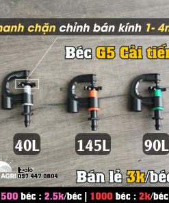 Béc G5 cải tiến