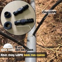 Khởi thủy ldpe kèm ron