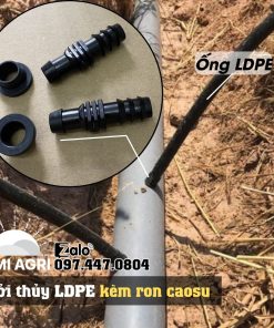 Khởi thủy ldpe kèm ron